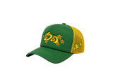 BRAZIL TRUCKER